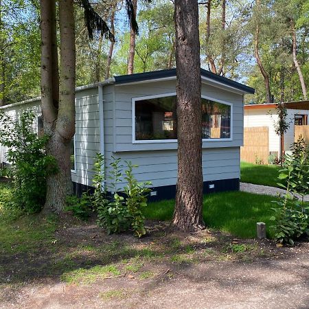 Chalet In De Veluwse Bossen Hoenderloo Dış mekan fotoğraf